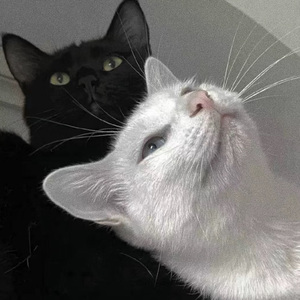 男女性爱羞羞软件
